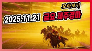 2025년 11월 21일 금요 제주경마 전체경주 모아보기