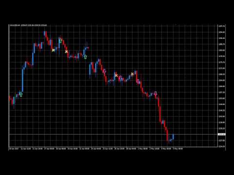 Video Samurai Scalping Indy