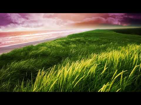 Amore Puro- Meditazione Guidata