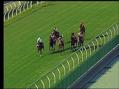 Galoppo 27/07/2016 - 1° corsa