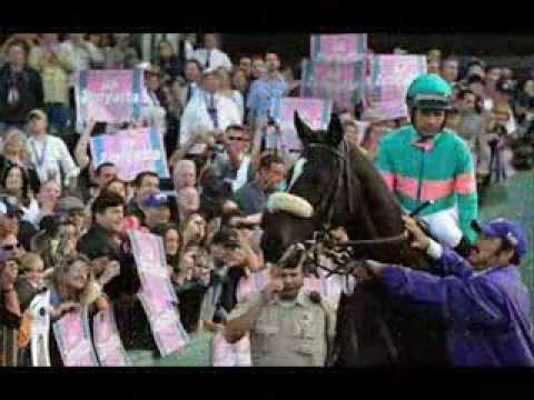 ZENYATTA Undefeated in Our Hearts and Emotions...!!!