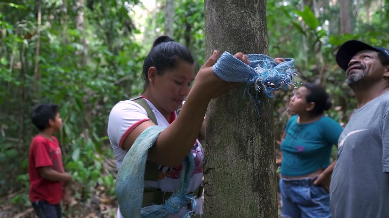 La ruta de los frutos amazónicos con mirada de mujer - Capítulo 1