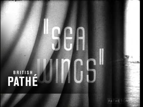 Sea Wings (1939)