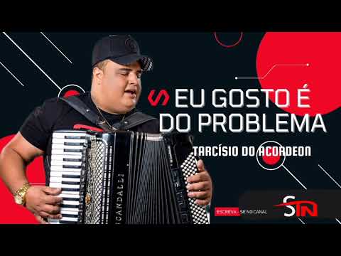 EU GOSTO É DO PROBLEMA - Tarcísio do Acordeon