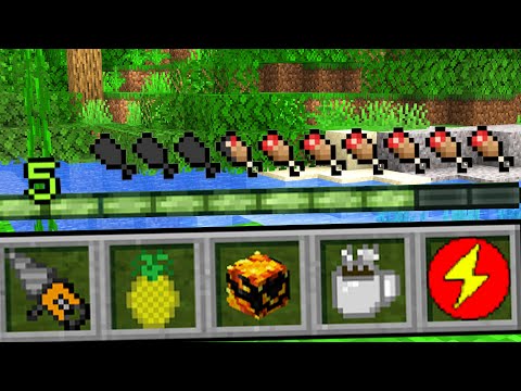 En Fan Lavede En CUSTOM Mod Til Mig