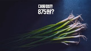 [조국혁신당TV광고]  사과대파편