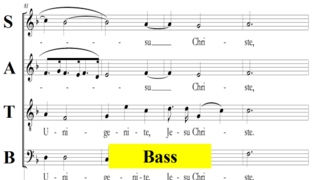 Vivaldi - Gloria - RV589  - 7 Domine Fili - Bass