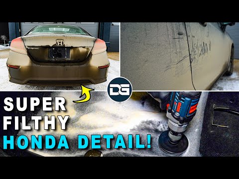 Deep Cleaning a FILTHY Honda Civic! | The Detail Geek
