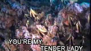 no tell lover-chicago