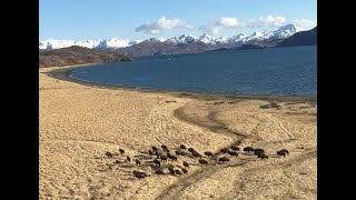 S7, E3, Part 4 Alaska’s Silent Echoes, with Scott Larionoff (Alutiiq)