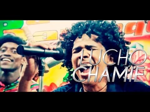 Lucho Chamié - La Suegra Mia (Parodia de Tania - Joe Arroyo)