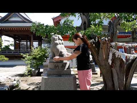 湊稲荷神社　回る「願懸け高麗犬」／新潟市