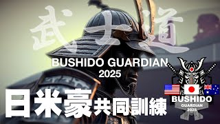 武士道ガーディアン25