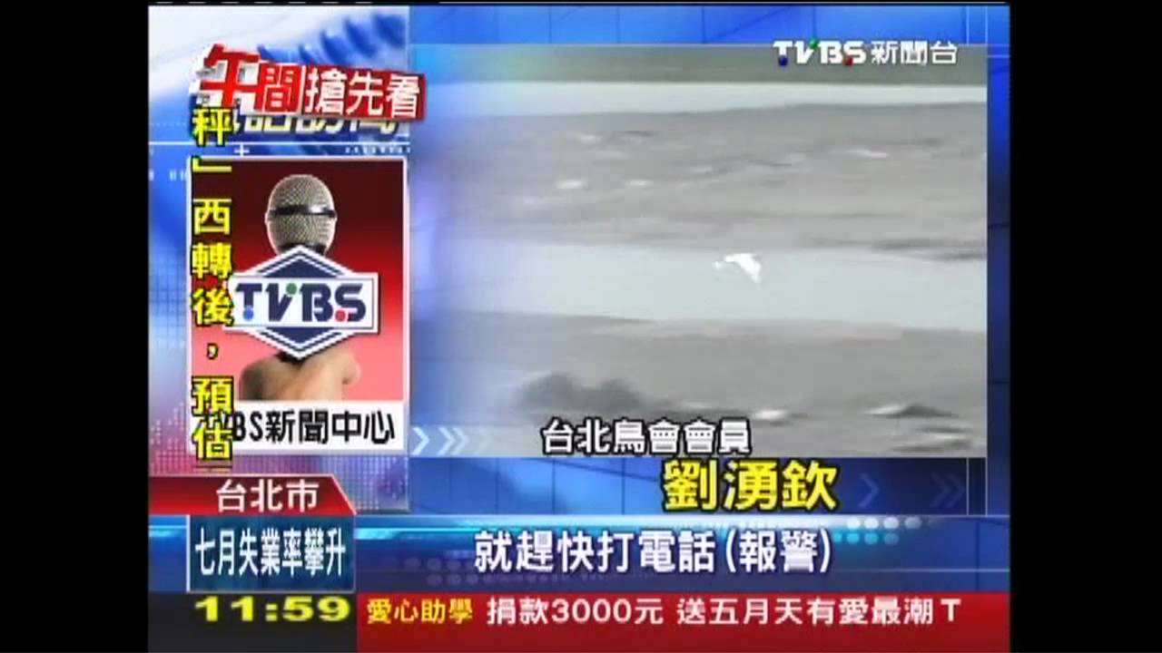 驚!河濱公園拍照 「照」見夜鷺停浮屍