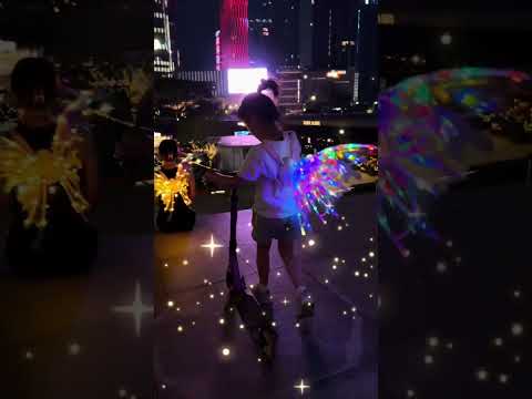 BUTTERFLY WINGS WITH LED LIGHT AND MOTIONS