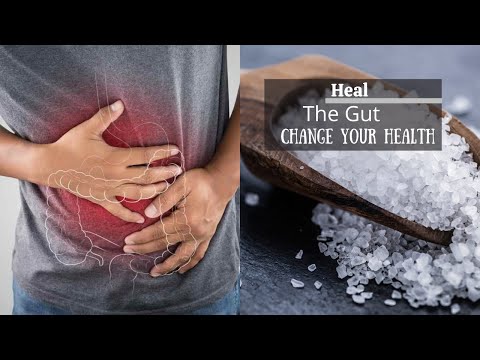 MSM: Heal Your Gut | Change Your Health