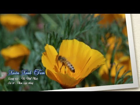 Thể hiện bởi Phan Lập Huy
