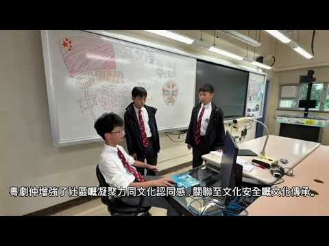 video-image