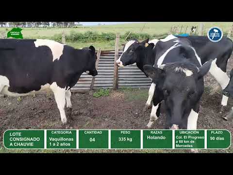 Video del lote L0-000861