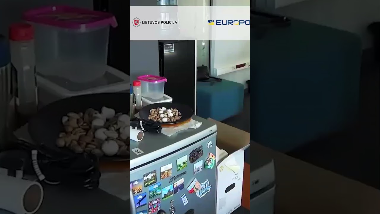 Inside a Scam Call Centre