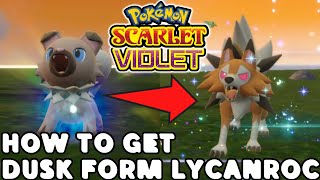 How to get Dusk Form Lycanroc in Pokemon Scarlet a