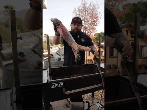 What does IGUANA taste like #bbq #recipe #shorts