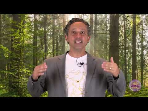 Eneagrama Inicial - Quem é o Tipo (Raio) 9?  - Nicolai Cursino