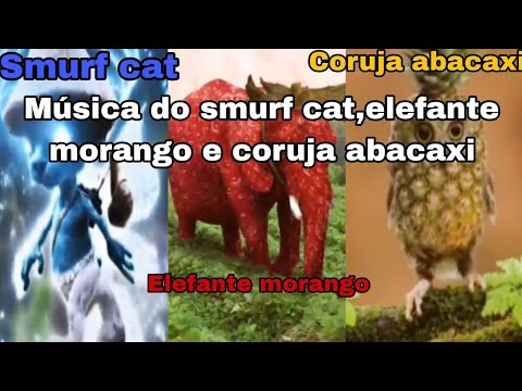 Música do smurf cat, Elefante morango e da coruja abacaxi