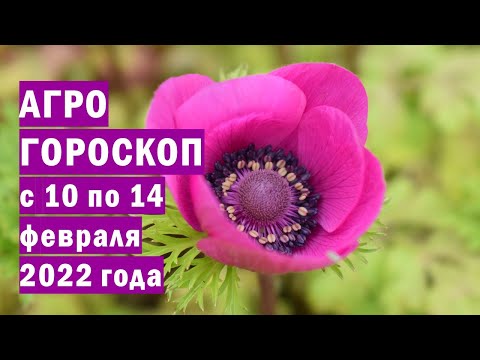 , title : 'Агрогороскоп с 10 по 14 февраля 2022 года'