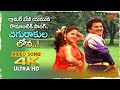 Chigurakulalona Song 4K Yamuna Rajendra Prasad Chemistry Brahmachari Mogudu Old Telugu Songs
