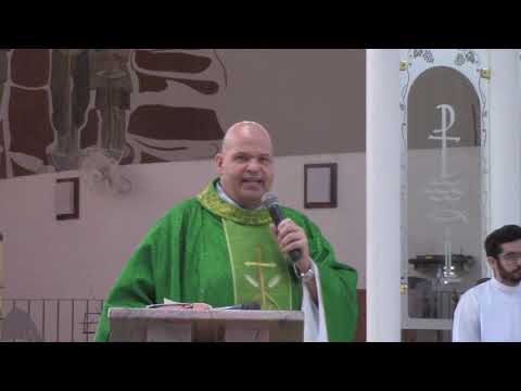 Homilia 15º Domingo do Tempo Comum.  ANO A. 12/07/2020