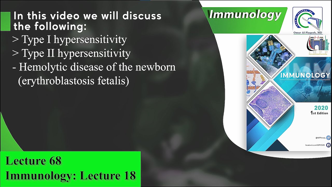 Type I hypersensitivity || Type II hypersensitivity || Hemolytic disease of the newborn