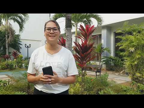 Reorganizan en LasTunas servicios básicos para mantener la atención médica