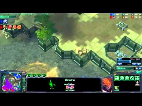 Stephano vs. Polt g5