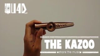 Kazoo Commercial