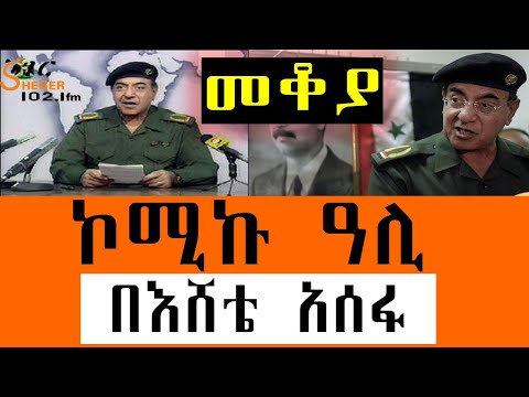 Mekoya - ኮሚኩ ዓሊ  Muhammad Saeed al-Sahhaf በእሸቴ አሰፋ