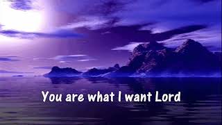 YOU (With Lyrics) : Rebecca St. James