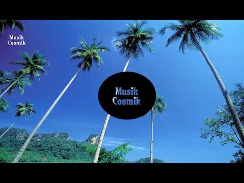 Adrian Swish ft. N.E.E.Z.Y - Mag!c Remix