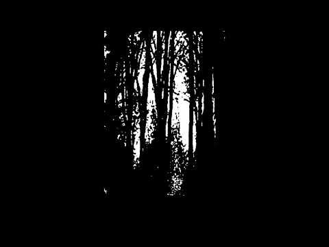 Druadan Forest - Druadan Forest (1998 , Dungeon Synth)