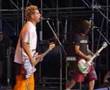 Nofx - Six Pack Girl - 1996