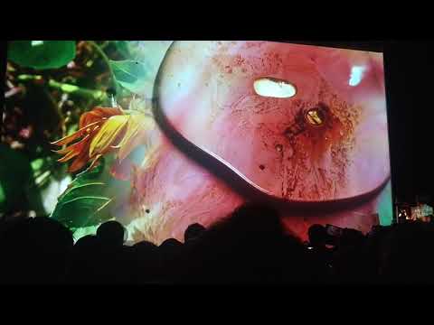 Akiko Nakayama - Alive Painting Live MUTEK 2019 Tokyo, Japan