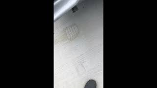 66 Dart mild cam lope