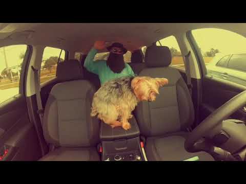 The Sound Lizards // Living On Island Time