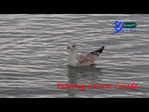 20170807, Pickering, Ontario, Canada