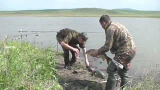 Абаканский клуб рыболов залив сыда
