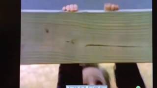 St Bear&#39;s Dolls Hospital Reach Your Hand Up High