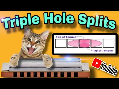 Triple Hole Tongue Block Splits