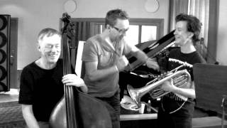 Peter Rosendal Trio  crescent