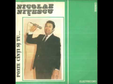 Nicolae Nitescu-Doua viori