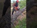Bore Cut Asmr Lumberjack Wood Lumberjacking Chainsaws Husqvarna